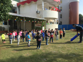 psb (1)