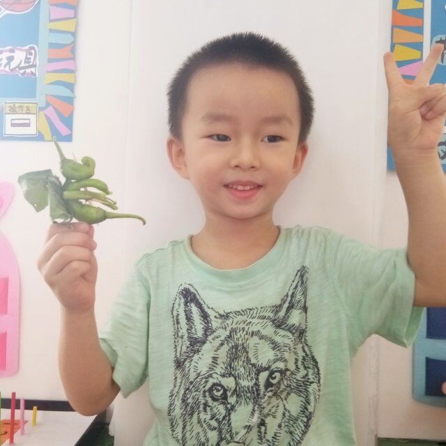 QQ图片20180920110424