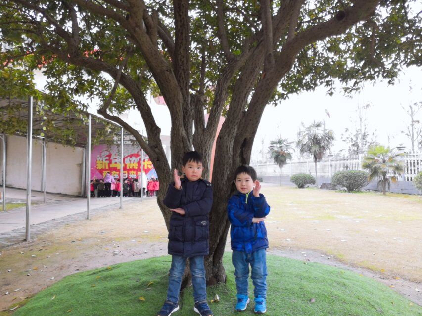 QQ图片20190301163455