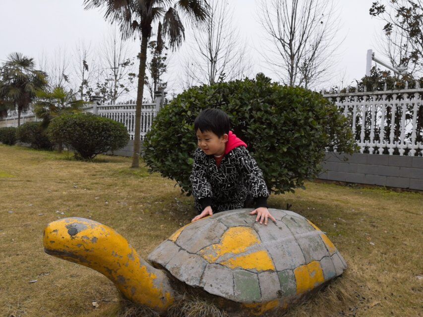 QQ图片20190301163507