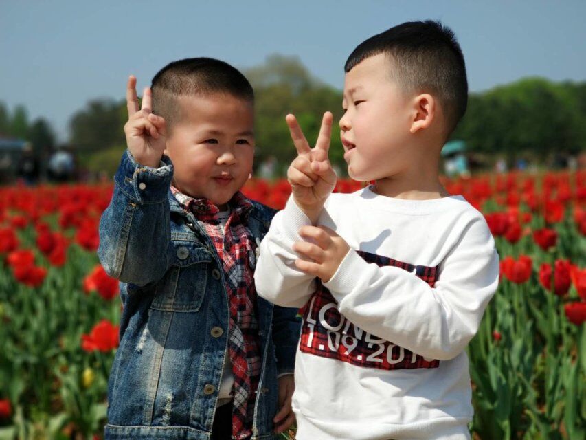 QQ图片20180330181242