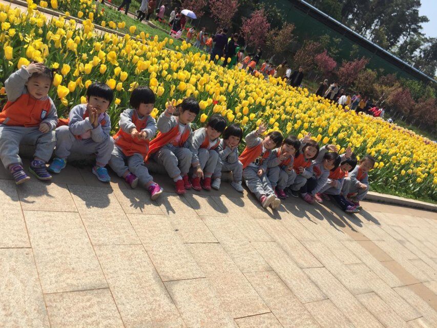 QQ图片20180330181330