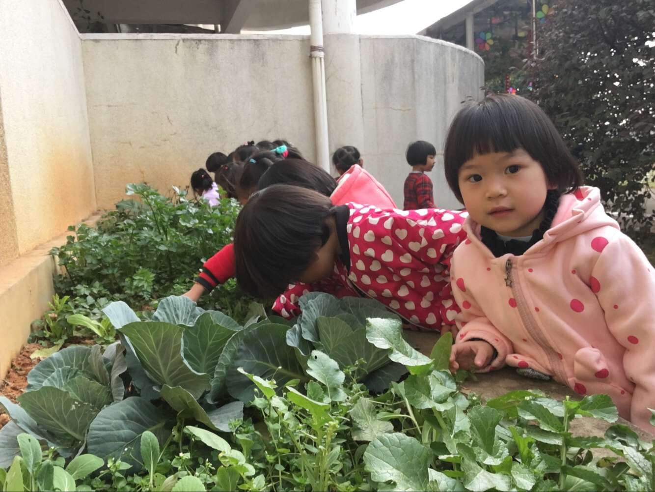 QQ图片20170223114214