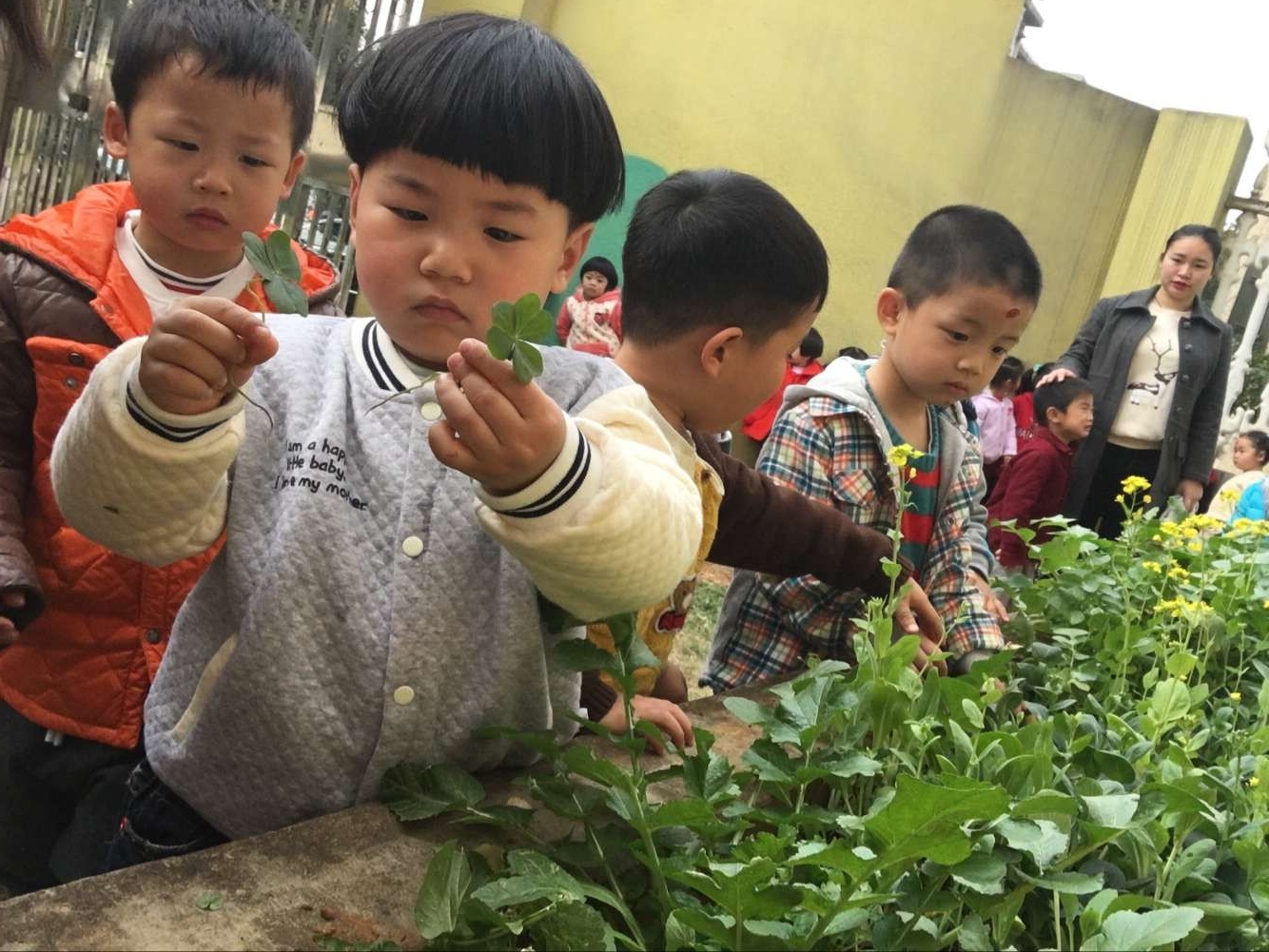 QQ图片20170223114206