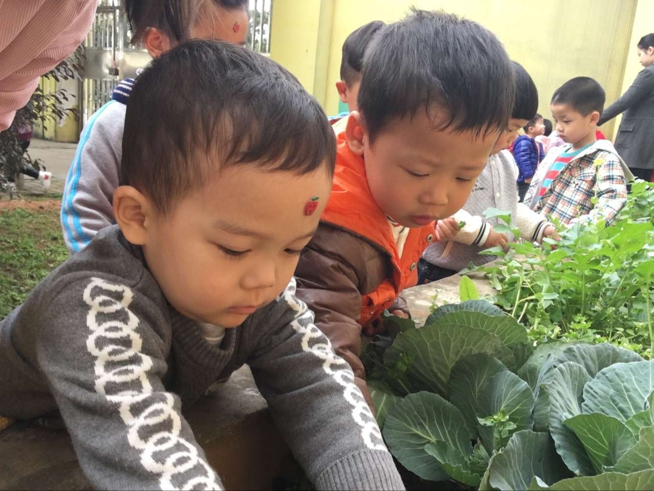 QQ图片20170223114208