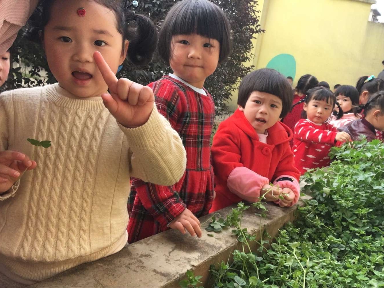 QQ图片20170223114211