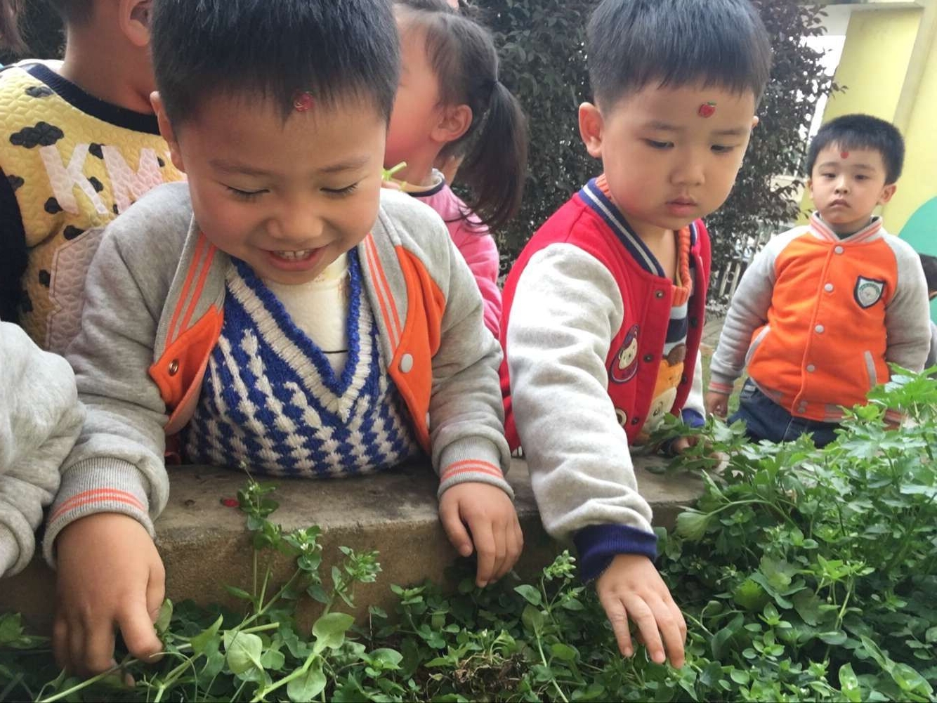 QQ图片20170223114212