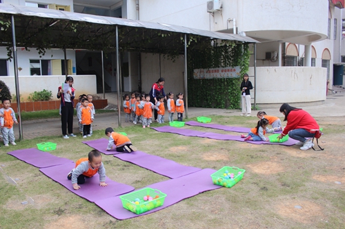 小一班《小刺猬运果子》