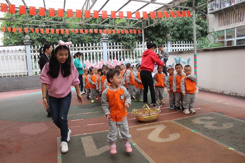 小二班《小兔采萝卜》